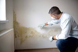 Professional Mold Removal Services in North Bonneville, WA